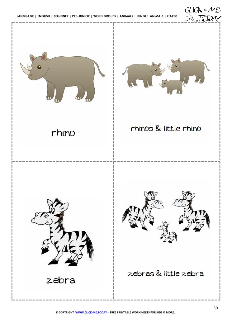 Jungle animals cards - Rhinos & Zebras