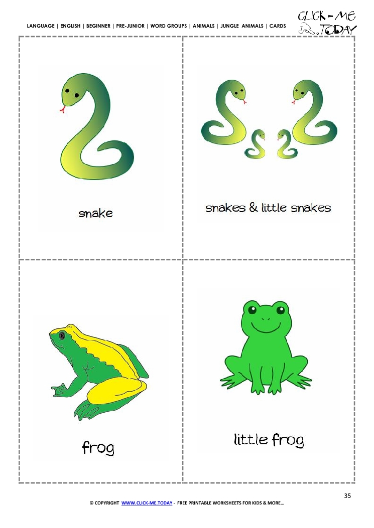 Jungle animals flashcards - Snakes & Frogs