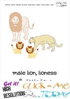 Jungle animal flashcard Lions - Printable card of Lions