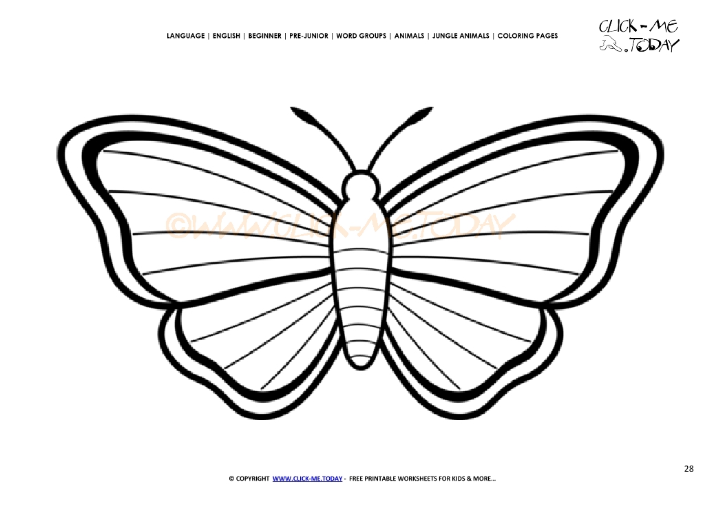 Coloring page Butterfly - Color picture of Butterfly