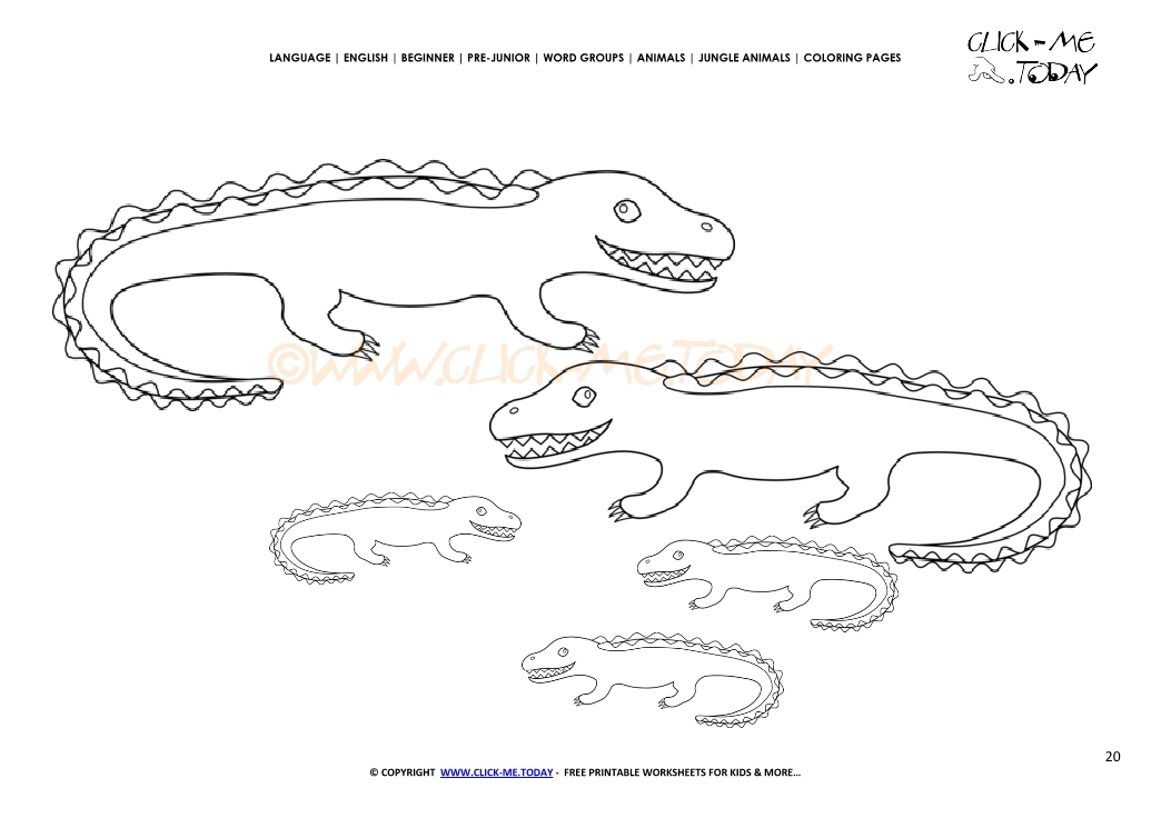 Coloring page Crocodiles - Color picture of Crocodiles