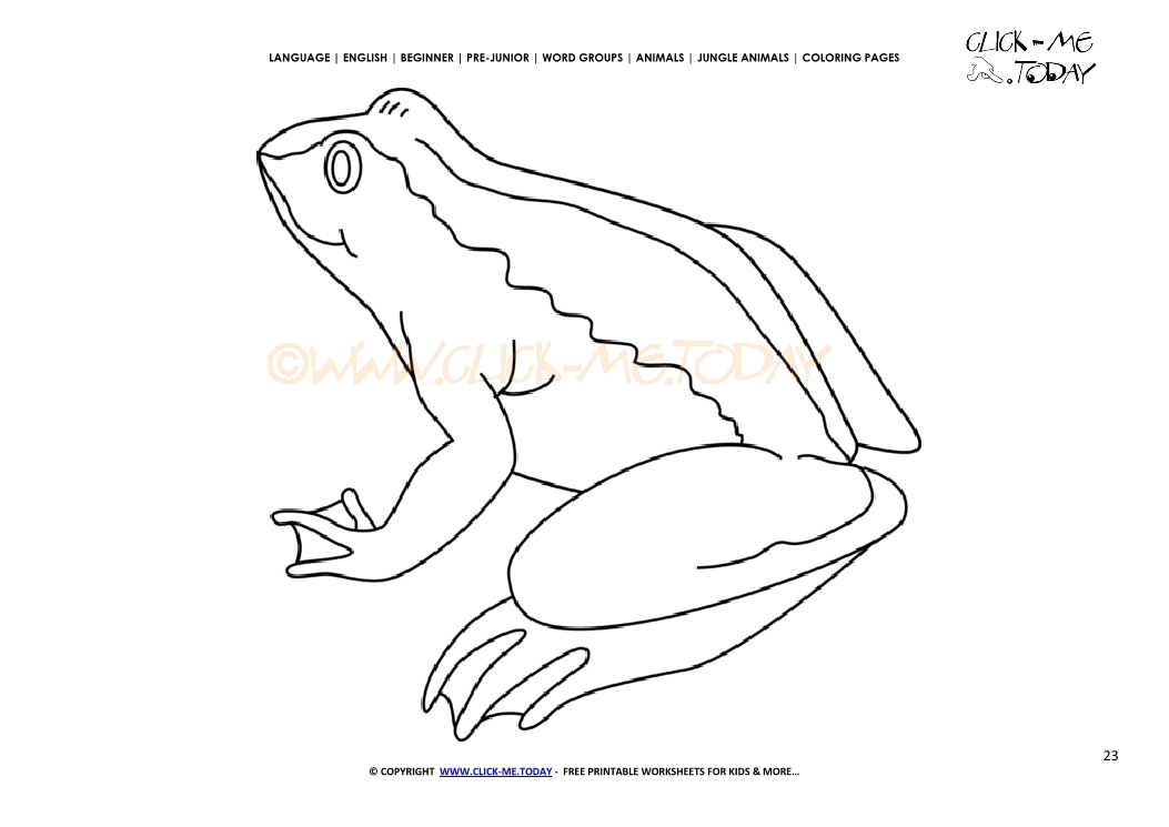 Coloring page Frog - Color picture of Frog