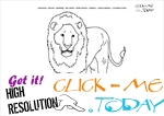 Coloring page Male Lion - Color picture of Lion 