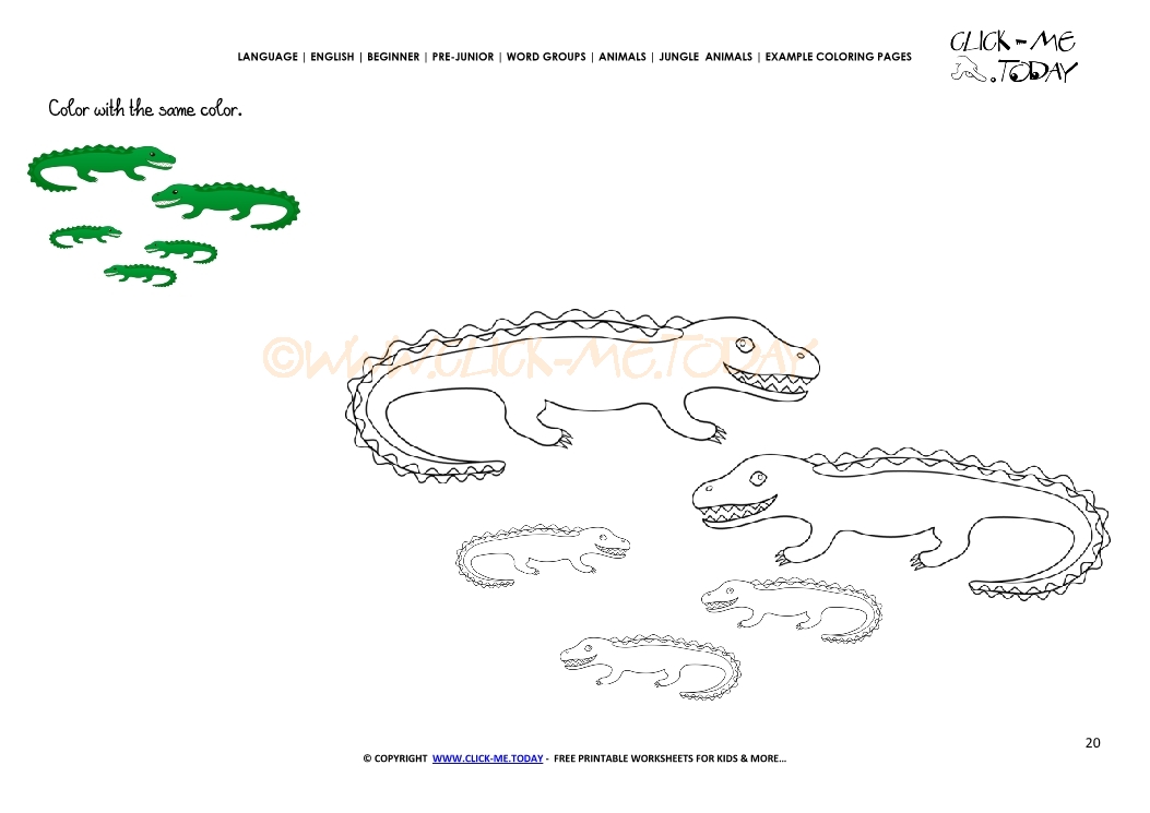 Example coloring page Crocodiles - Color picture of Crocodiles