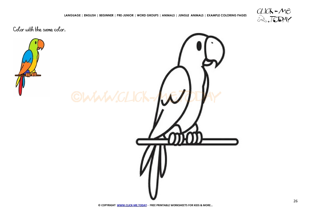 Example coloring page Parrot - Color picture of Parrot