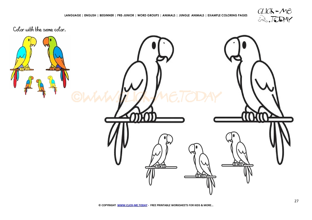 Example coloring page Parrots - Color picture of Parrots