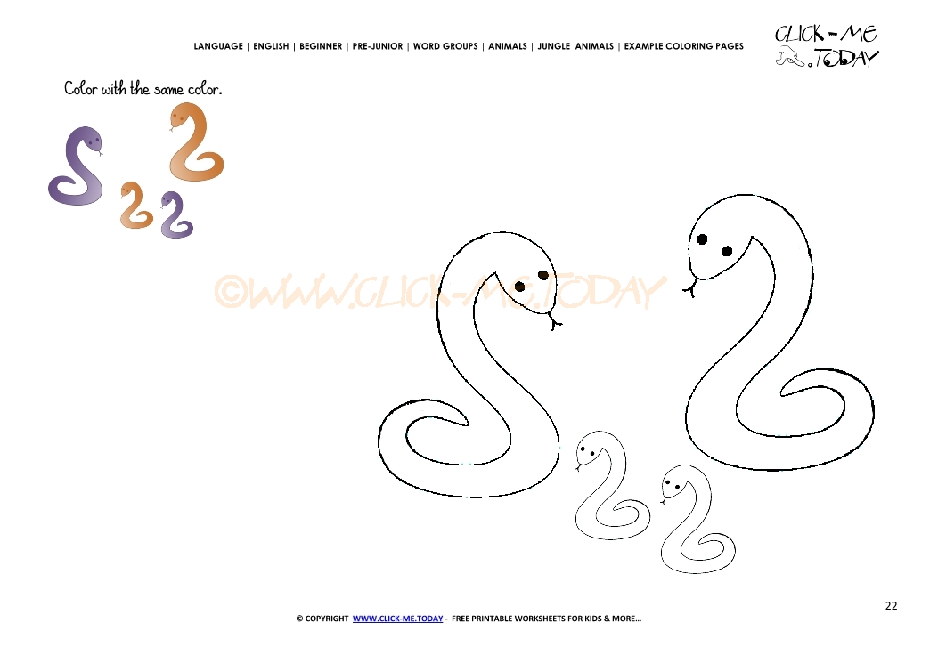 Example coloring page Snakes - Color picture of Snakes