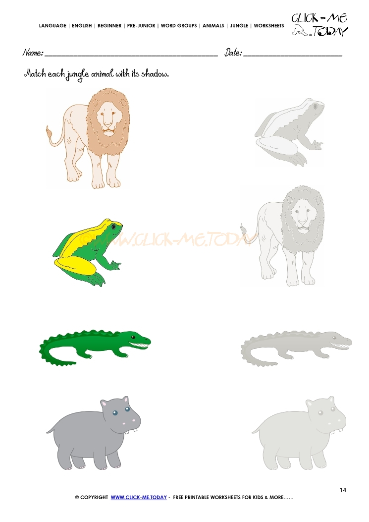 Jungle Animals Worksheet - Activity sheet Match 14