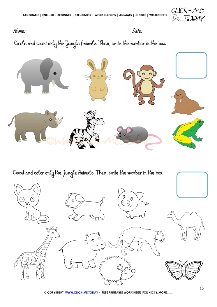Jungle Animals Worksheet - Activity sheet Count 15