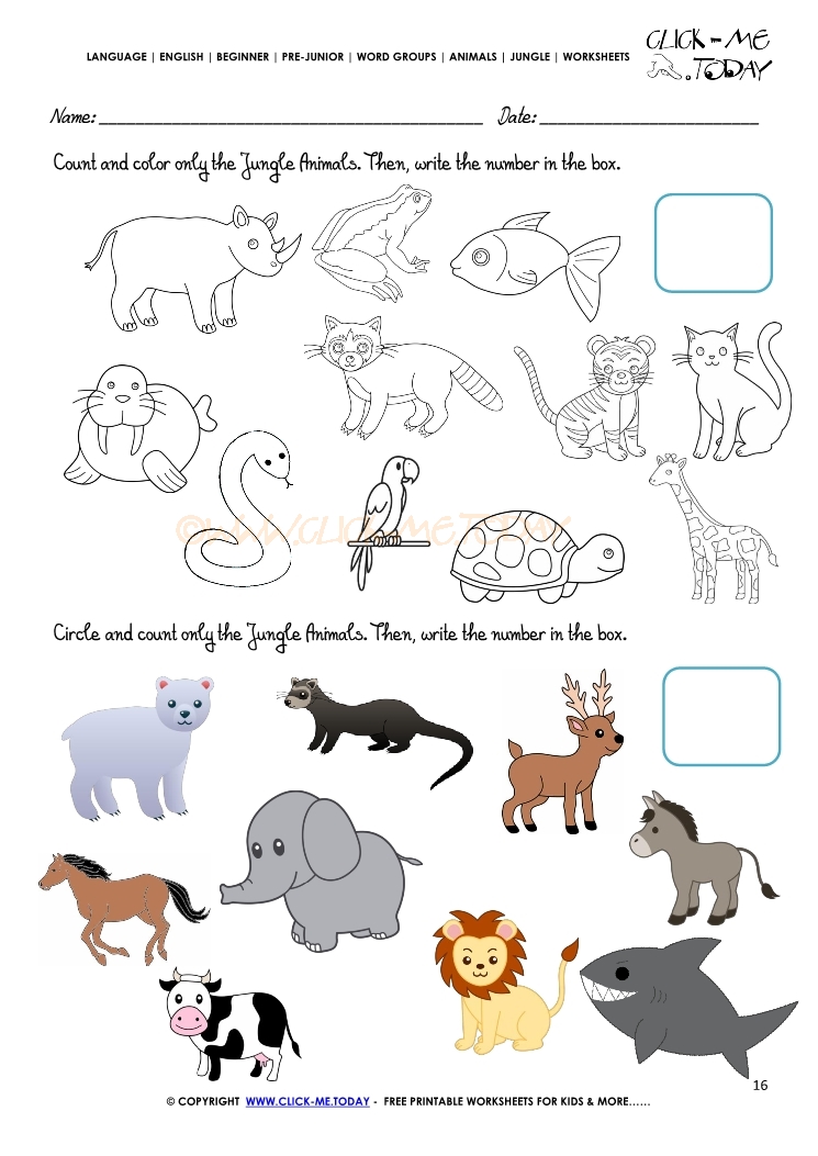 Jungle Animals Worksheet - Activity sheet Count 16