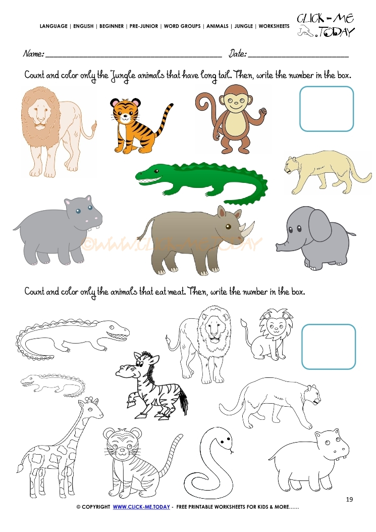jungle animals worksheet activity sheet count 19