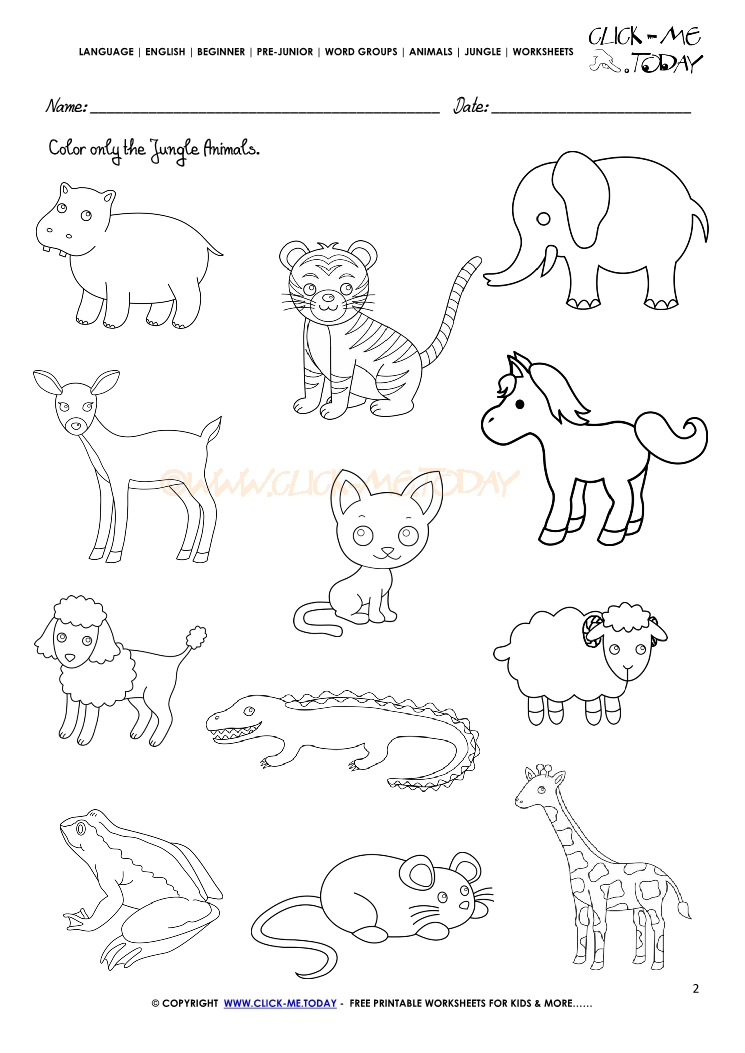 jungle-animals-worksheet-activity-sheet-color-2