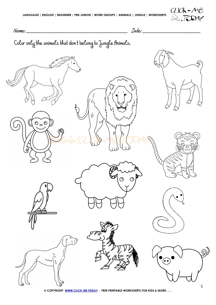 Jungle Animals Worksheet Activity sheet Color 5