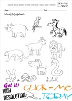 Jungle Animals Worksheet - Activity sheet Color 1
