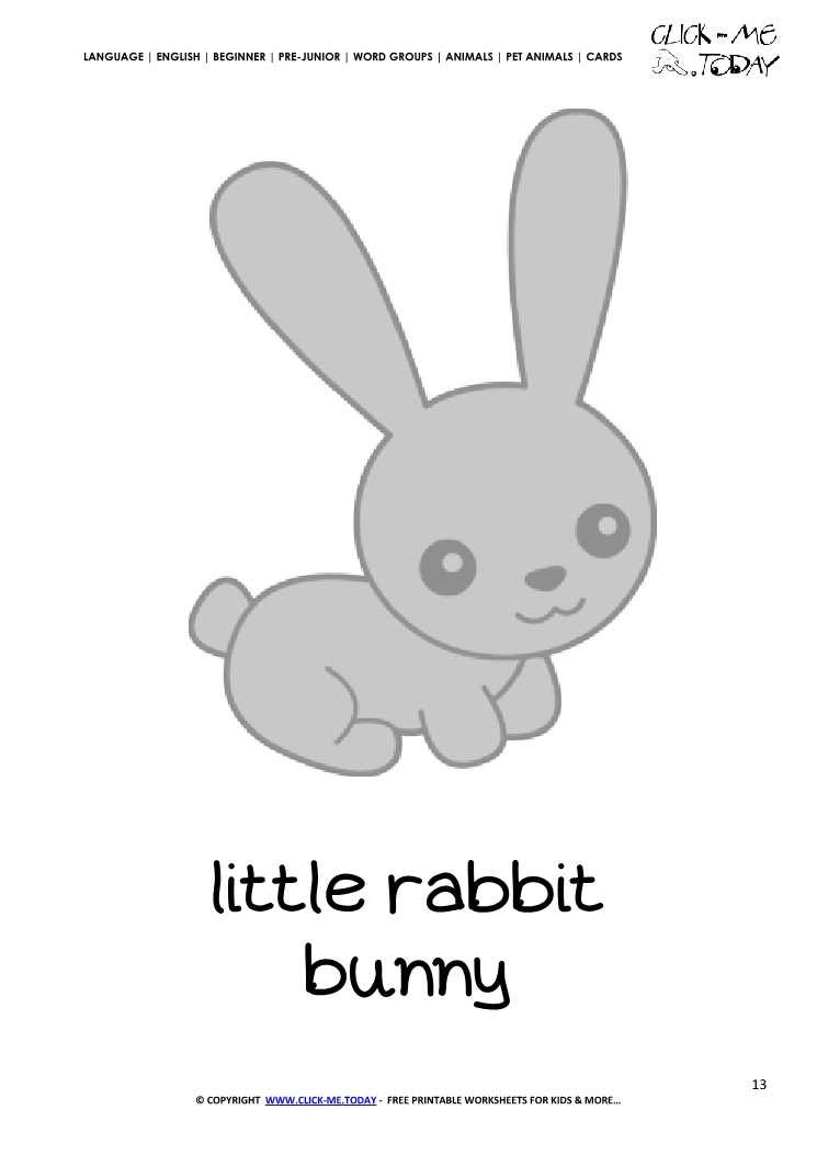 Printable Pet Animal Bunny wall card -  Bunny flashcard