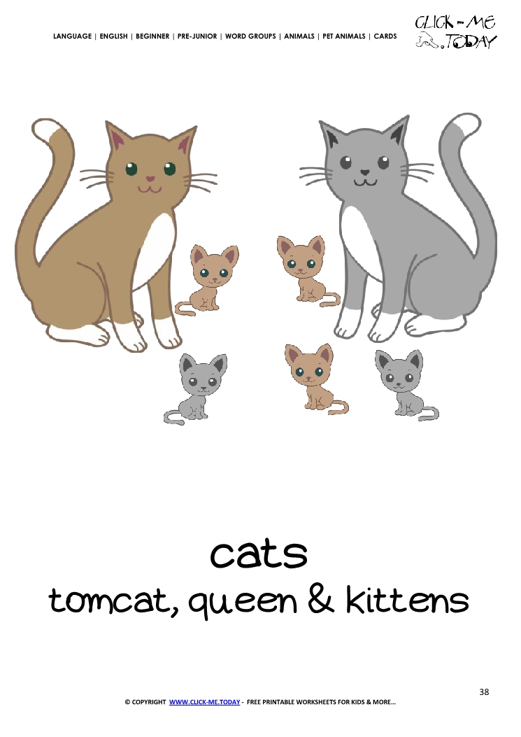 Printable Pet Animal Cat family wall card - Cats flashcard