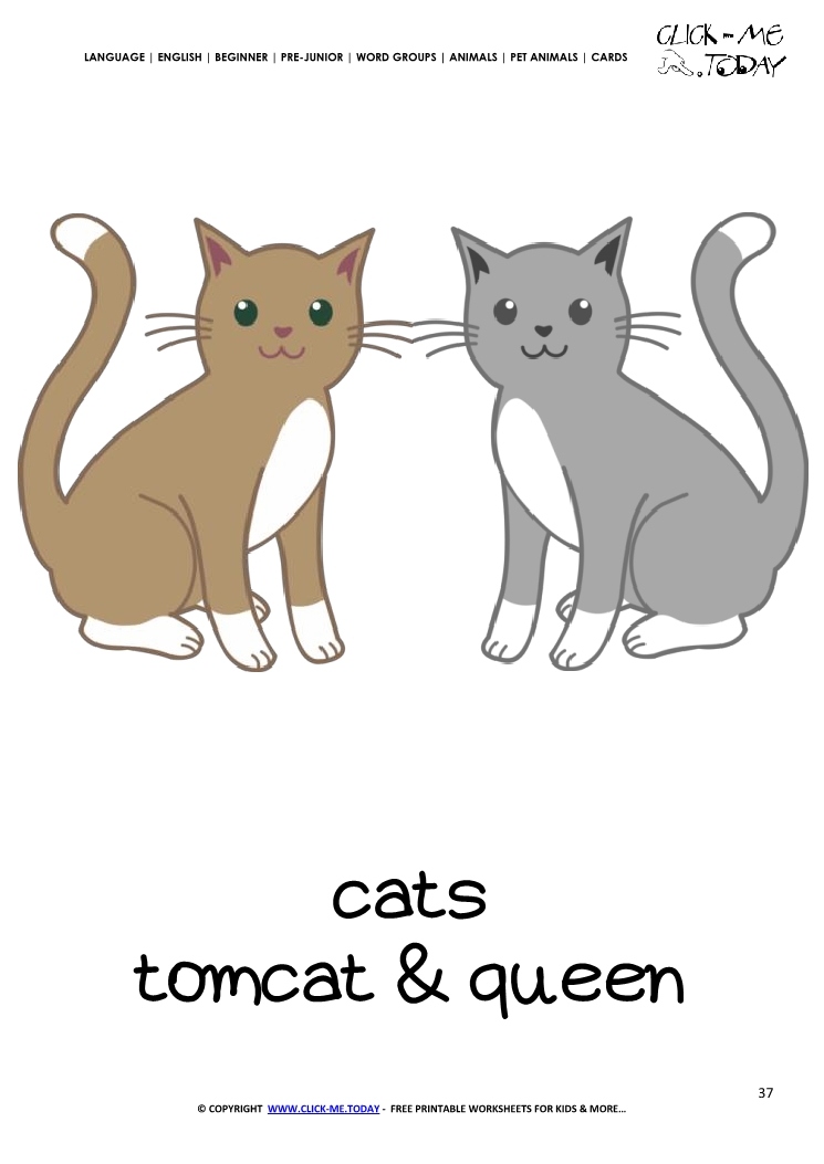 Printable Pet Animal Cats wall card - Cats flashcard