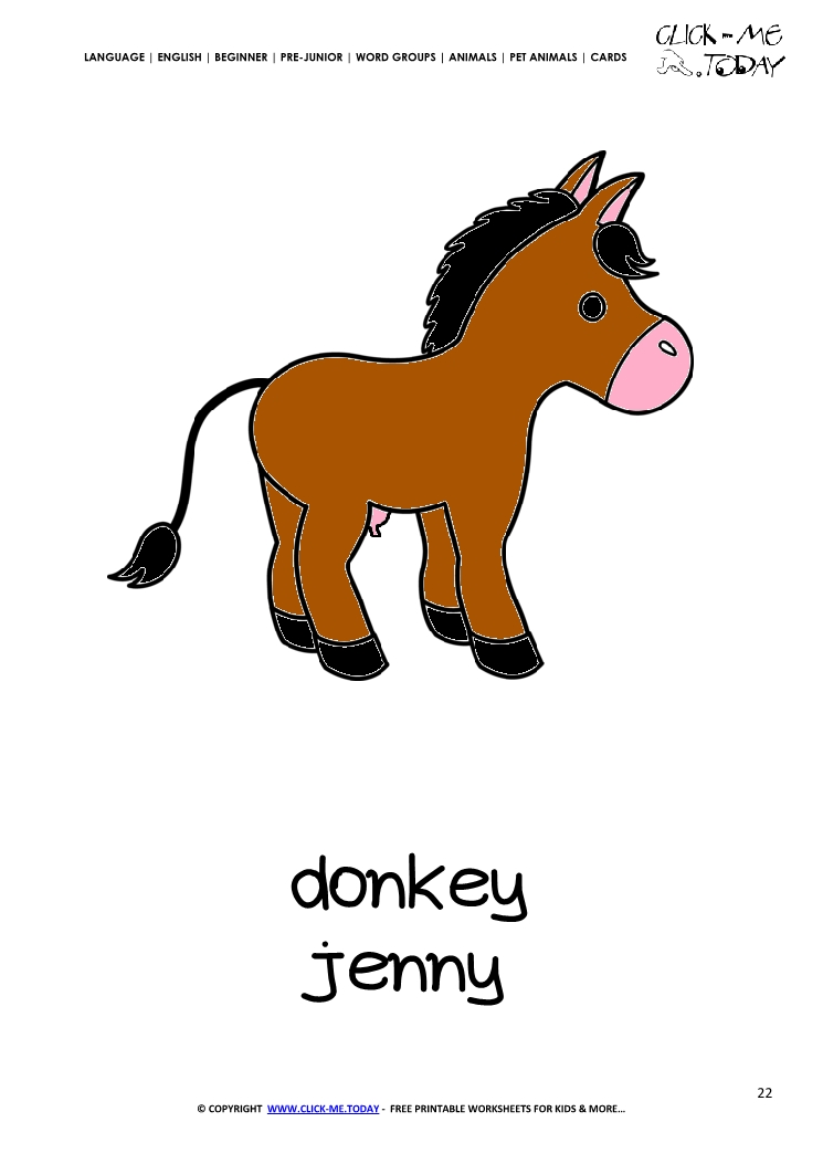 Printable Pet Animal Donkey Jenny wall card -  Donkey flashcard