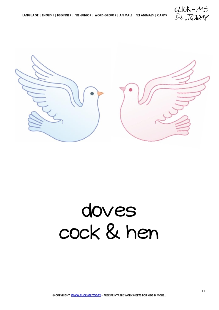 Printable Pet Animal Doves wall card -  Doves flashcard