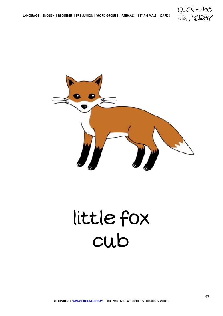 Printable Pet Animal Fox cub wall card - Fox flashcard