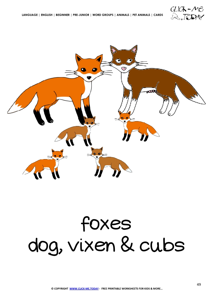 Printable Pet Animal Fox family  wall card - Foxes flashcard