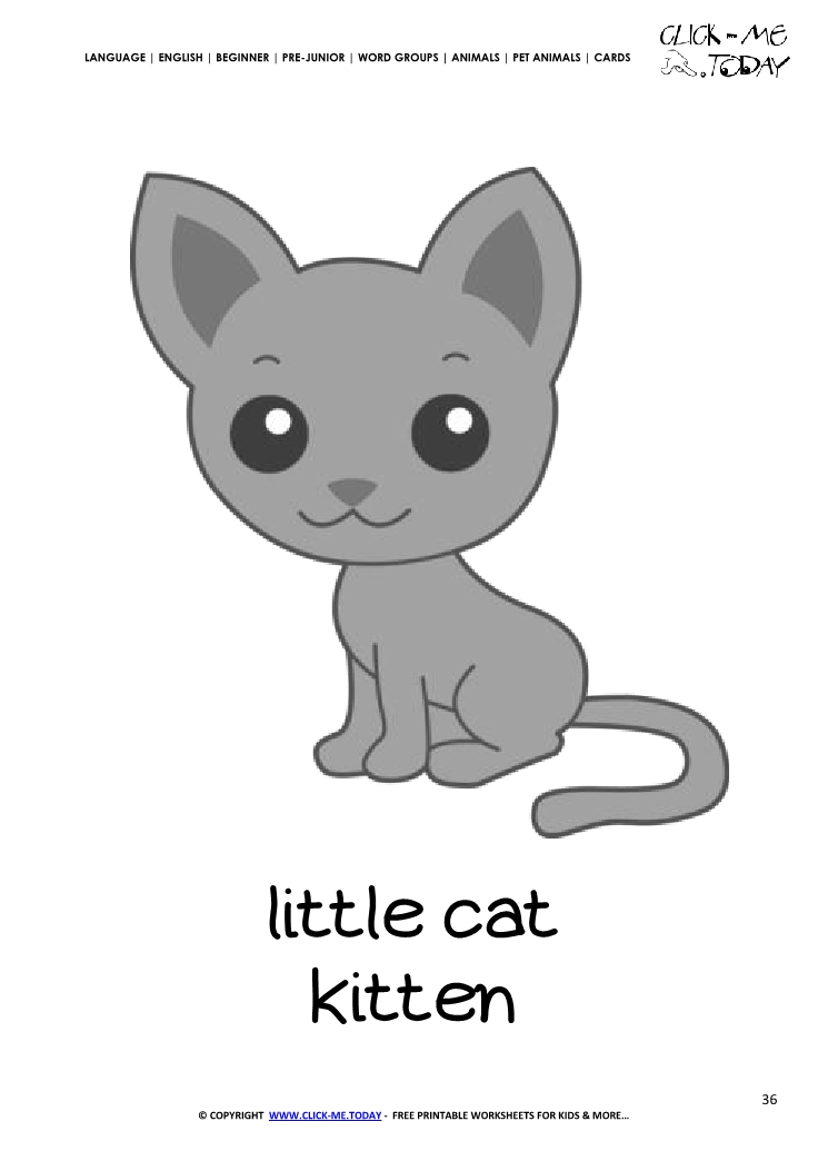 Printable Pet Animal Kitten wall card - Cat flashcard