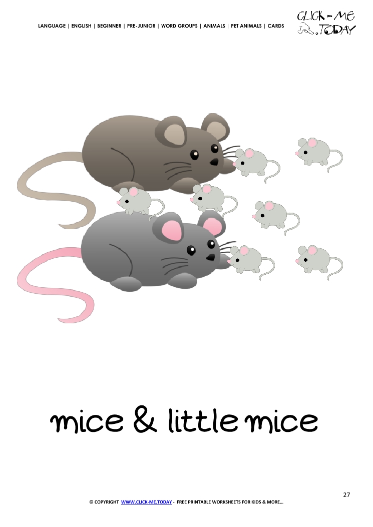 Printable Pet Animal Mice Family wall card -  Mice flashcard