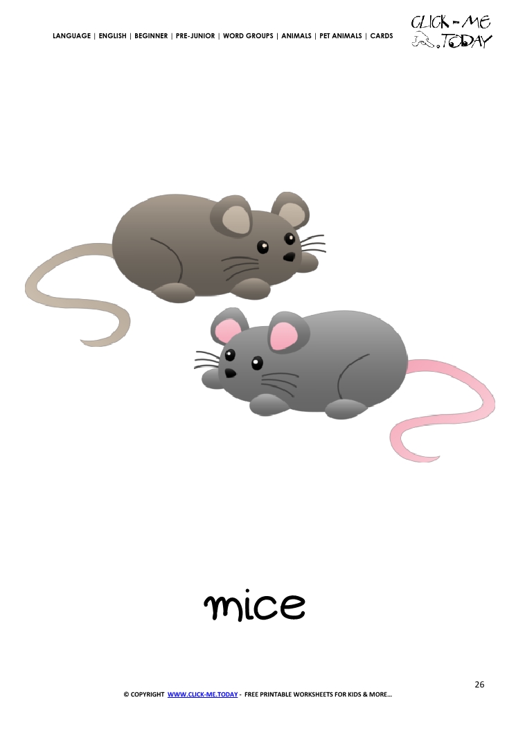 Printable Pet Animal Mice wall card -  Mice flashcard