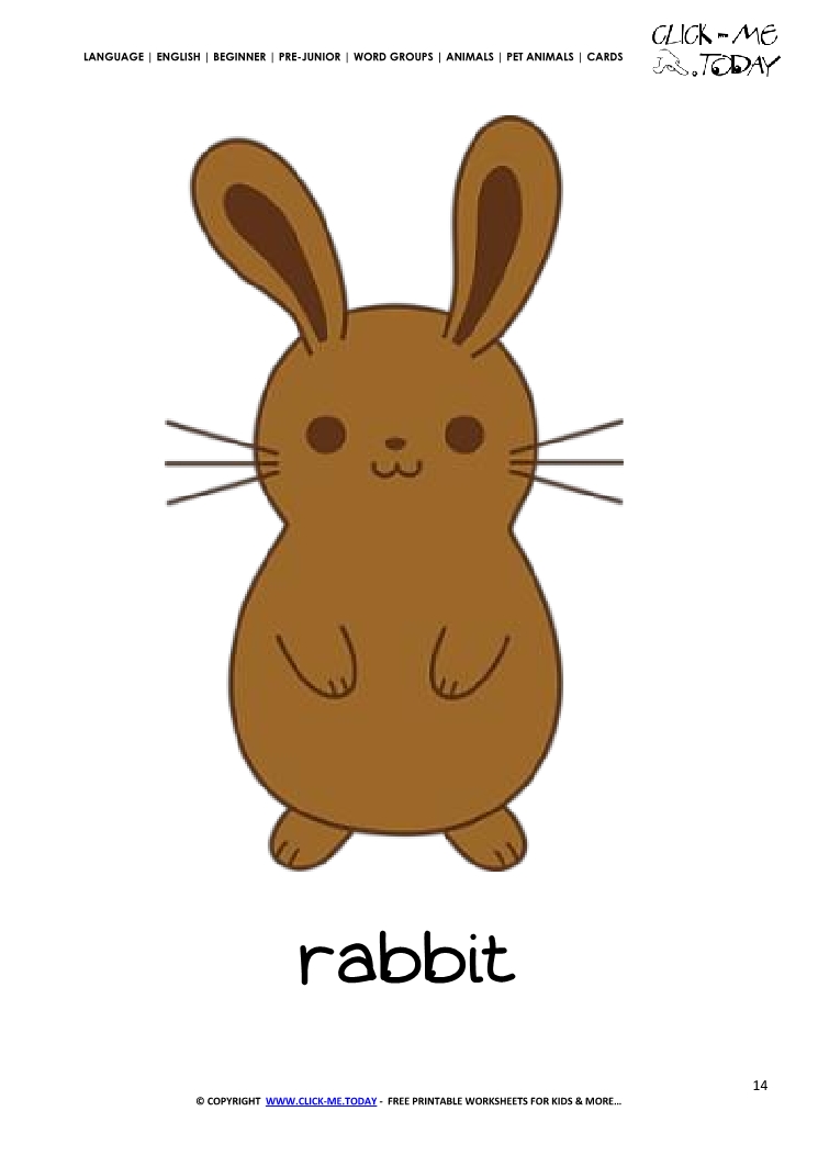 Printable Pet Animal Rabbit wall card -  Rabbit flashcard