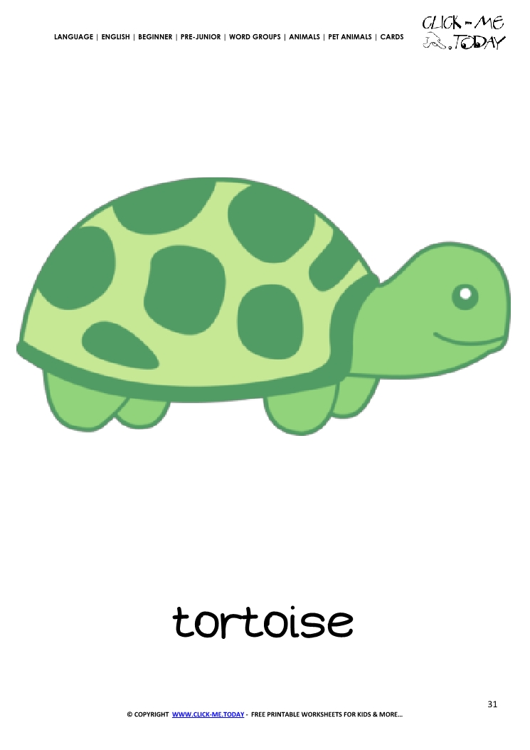 Printable Pet Animal Tortoise wall card - Tortoise flashcard