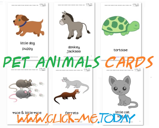 Free Printable Pet Animals Flashcards - Pet Animals cards