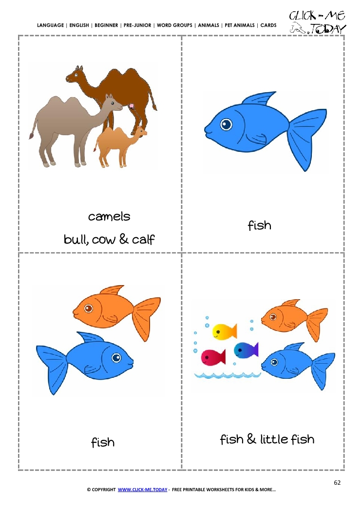 Printable Pet Animals flashcards 10 - Cats & Camels