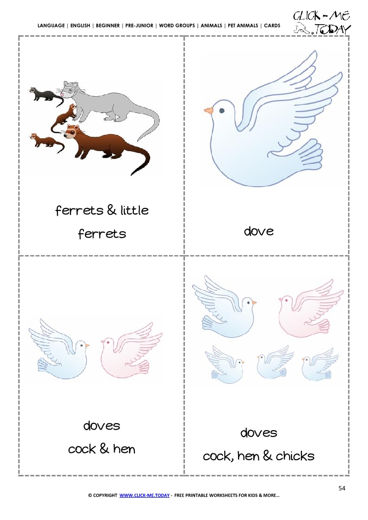 Printable Pet Animals flashcards 3 - Doves & Ferrets
