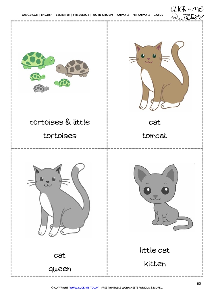 Printable Pet Animals flashcards 8 - Parrots & Tortoises
