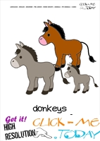 Printable Pet Animal Donkeys wall card -  Donkeys flashcard