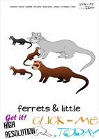 Printable Pet Animal Ferret Family wall card -  Ferrets flashcard