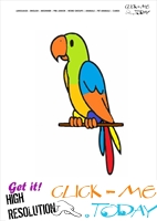 Printable Pet Animal Parrot wall card - Parrot flashcard