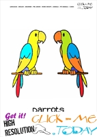 Printable Pet Animal Parrots wall card - Parrots flashcard