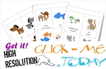Pet Animals Flashcards for Kindergarten
