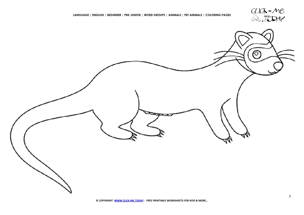 Coloring page Female Ferret - Color picture of Ferret