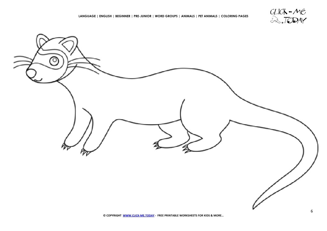 Coloring page Ferret - Color picture of Ferret