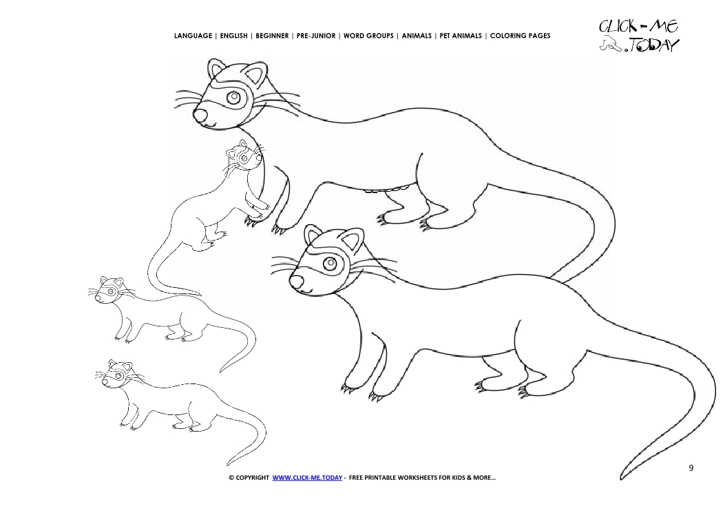 Coloring page Ferrets - Color picture of Ferret Family