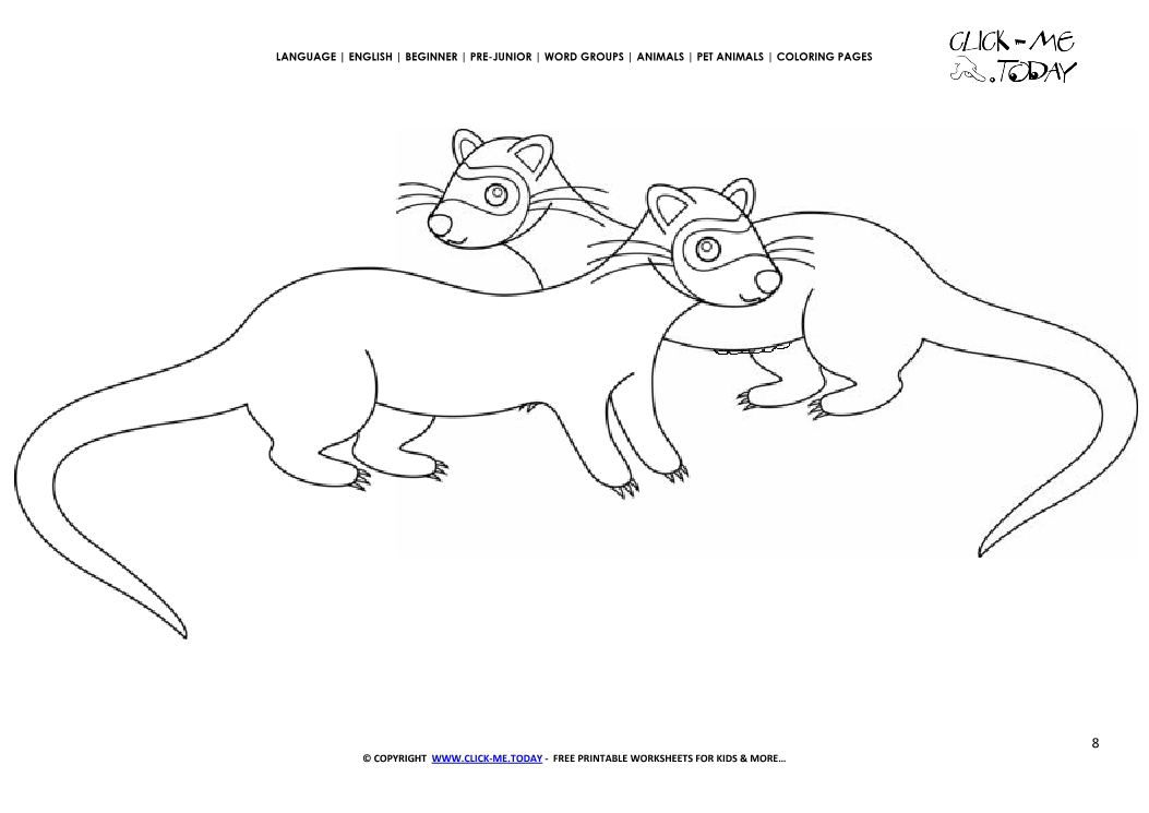 Coloring page Ferrets - Color picture of Ferrets