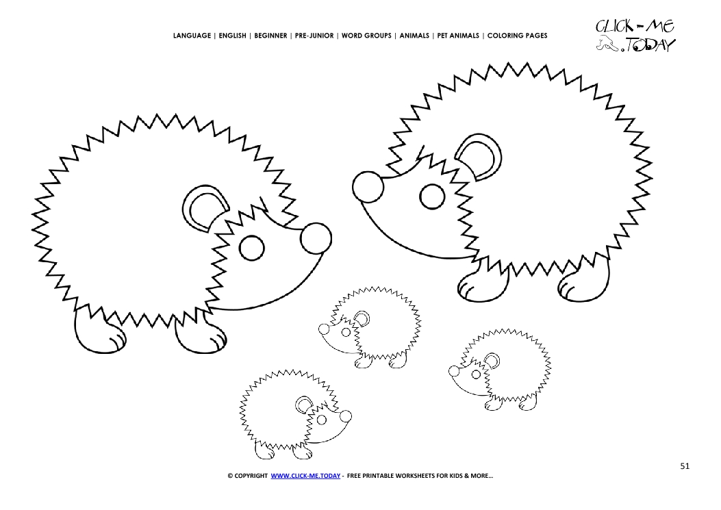 Coloring page Hedgehogs - Color picture of Hedgehogs