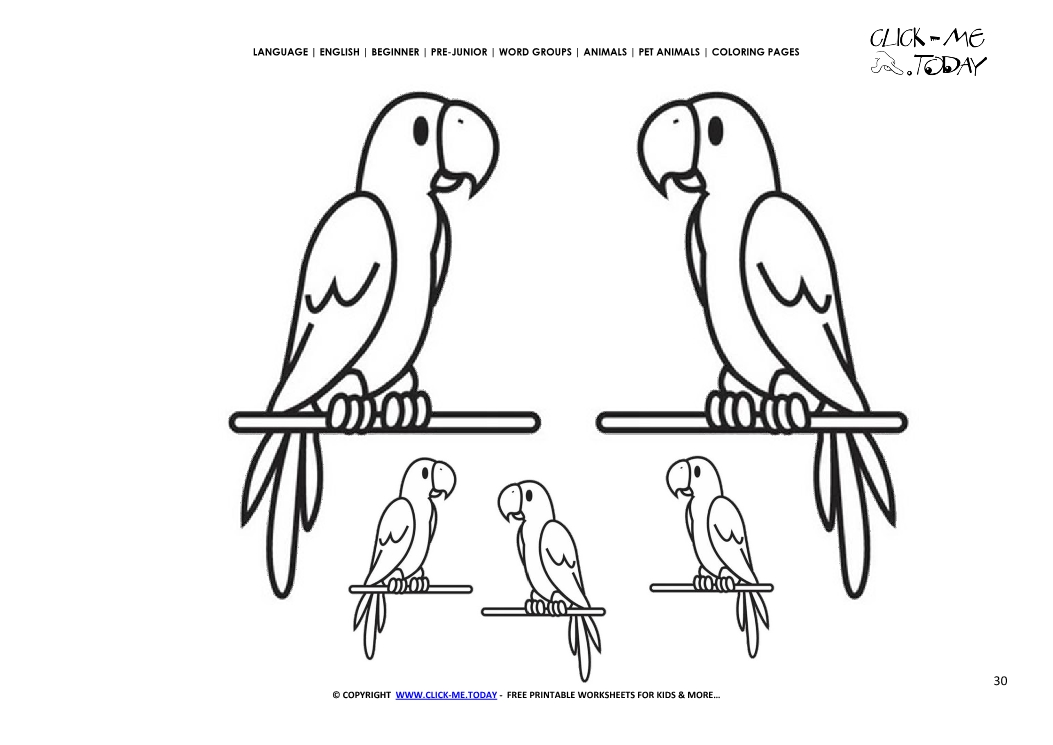 Coloring page Parrots - Color picture of Parrot Family