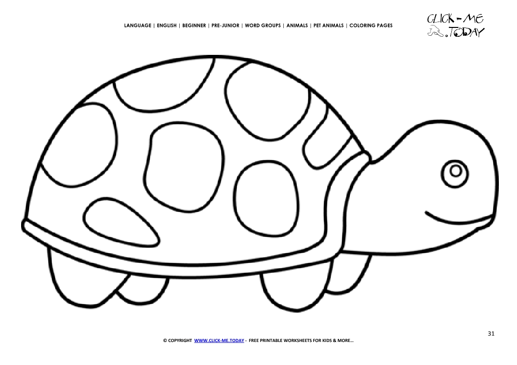 Coloring page Tortoise - Color picture of Tortoise