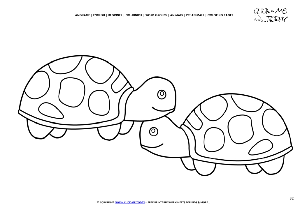 Coloring page Tortoises - Color picture of Tortoises