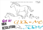 Coloring page Horses - Color picture of Horses