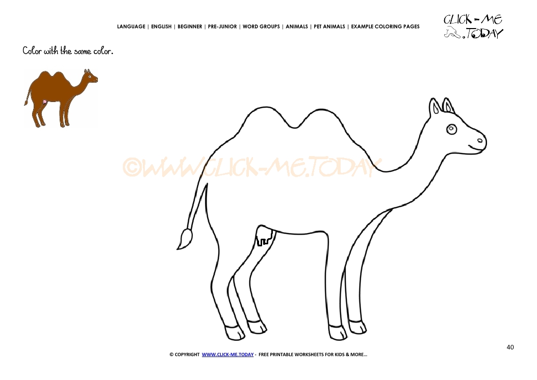 Example coloring page Camel Cow - Color Camel Cow picture