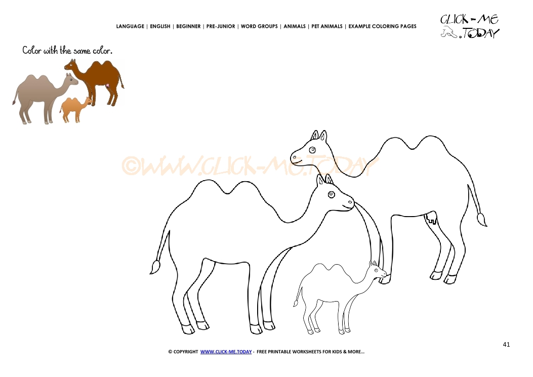 Example coloring page Camels - Color Camels picture